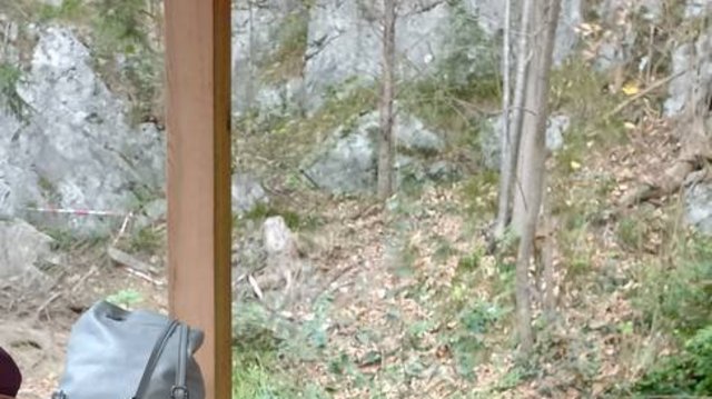 Kleinkindbetreuung_Getzners_Bunstiftile_-_Wald_besuch__6_