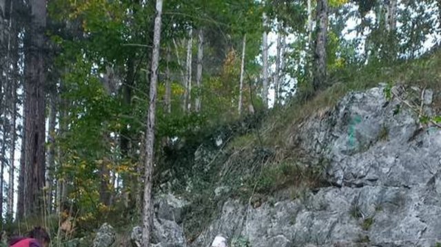 Kleinkindbetreuung_Getzners_Bunstiftile_-_Wald_besuch__2_