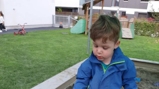 Kibe_Bienenwabe_Draußen_im_Garten___4_