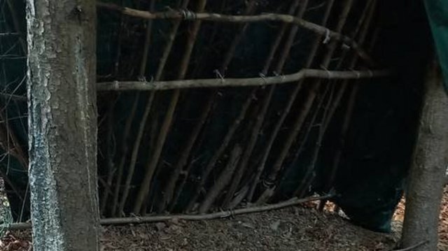 Kleinkindbetreuung_Getzners_Bunstiftile_-_Wald_besuch__3_