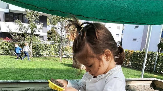 Kibe_Bienenwabe_Draußen_im_Garten___5_