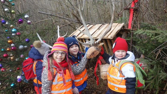 KG_Susi_Weigel_Weihnachtswald_07