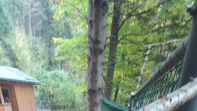 Kleinkindbetreuung_Getzners_Bunstiftile_-_Wald_besuch__17_