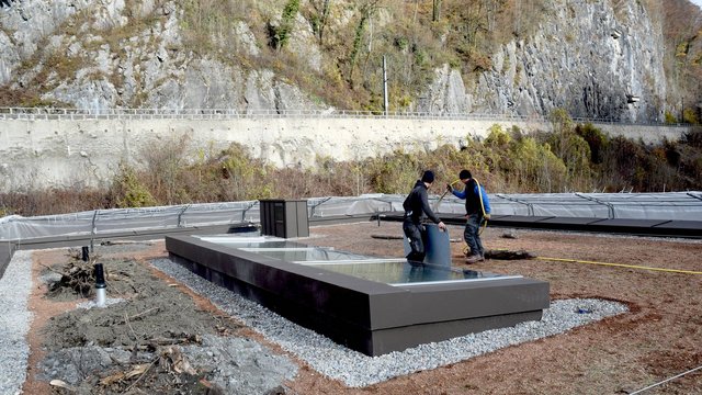 Begrünung_Zwergenvilla_Bings_19