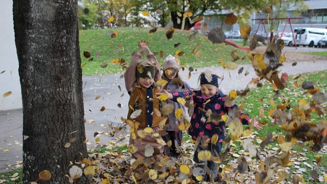 Kindergarten_Igel_2022_-_Spiel_im_Herbstgarten__135_