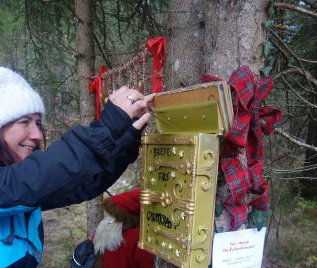 KG_Susi_Weigel_Weihnachtswald_07