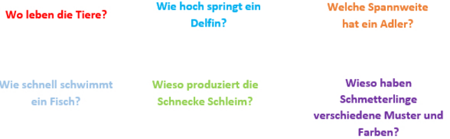 Kindergarten_Außerbraz_Jahresthema_2022_23