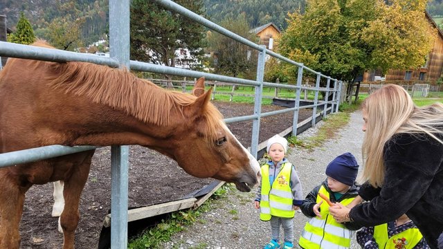 Kibe_Bienenwabe_Ausflug___2_
