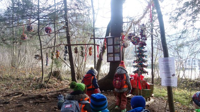 KG_Susi_Weigel_Weihnachtswald_07