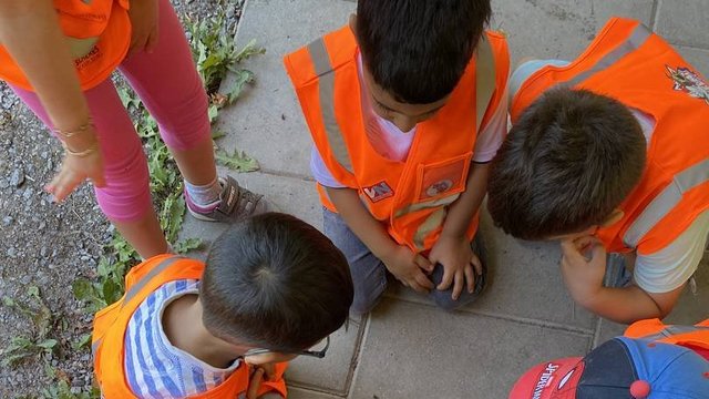 Naturwoche_Kindergarten_Susi_Weigel_01