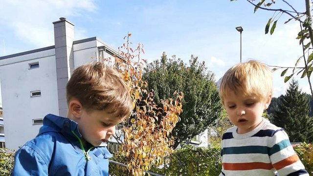 Kibe_Bienenwabe_Draußen_im_Garten___2_