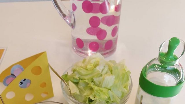 Kindergarten_Susi_Weigel_Salate