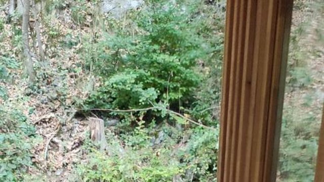 Kleinkindbetreuung_Getzners_Bunstiftile_-_Wald_besuch__10_