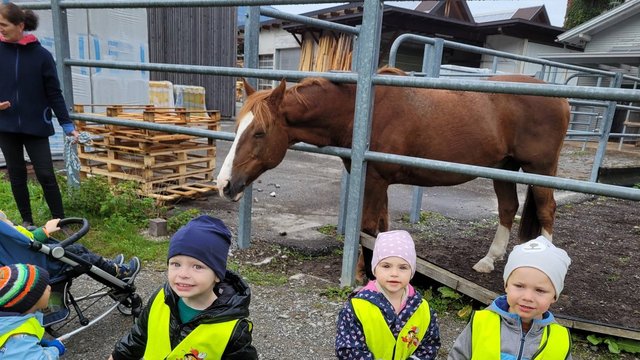 Kibe_Bienenwabe_Ausflug___1_