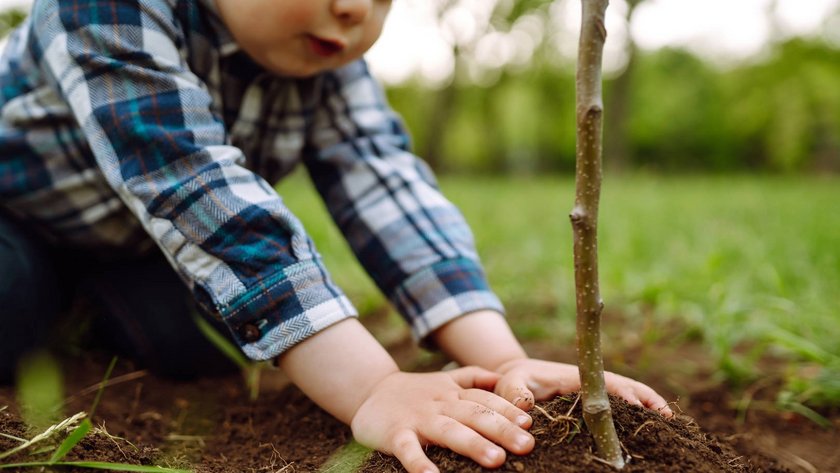 Kind pflanzt einen Baum image-34521
