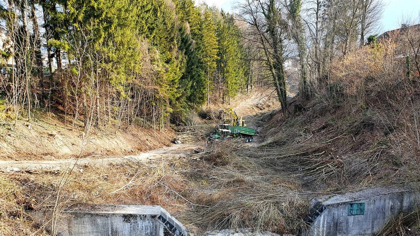 Pflegearbeiten beim Bludenzer Galgentobel